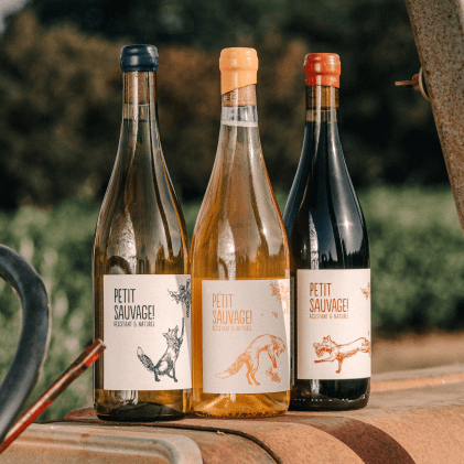 Bouteille-Petit-Sauvage-pierre te antonin