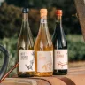 Bouteille-Petit-Sauvage