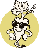 illustration cépages résistants - pierre et antonin