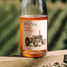 pet nat vivant - close up