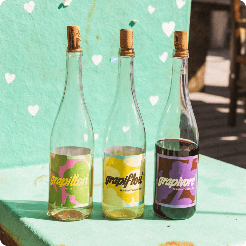 Grapiflou Floréal Cépage Résistant