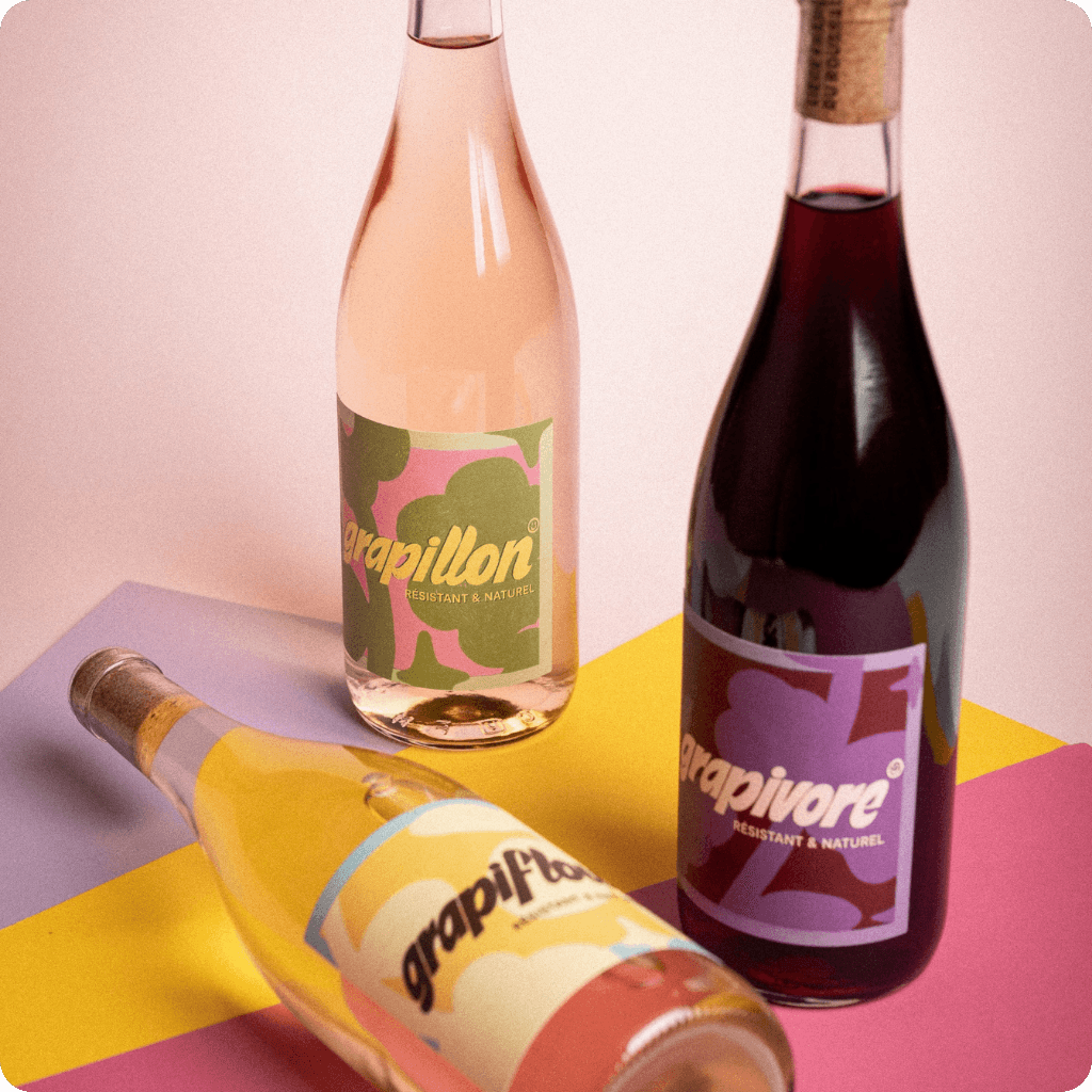 Grapi - pierre & antonin