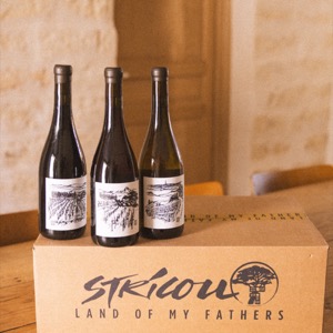 Les vins du Domaine de Stricou